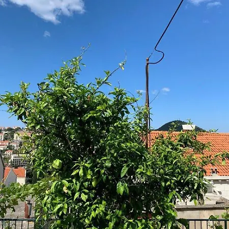 Dubrovnik Rooms Vendégház 3*