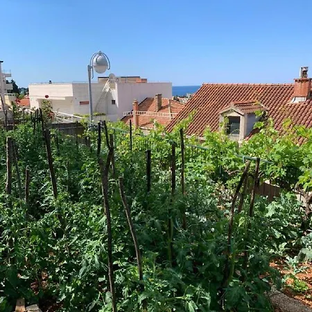 Gostinjska kuća 2 Dubrovnik